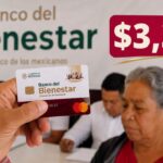 Monto oficial 2026: la Pensión Bienestar para Personas con Discapacidad entrega $3,300 pesos