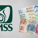 ¿Se pueden cobrar dos pensiones a la vez? La regla del IMSS para combinar la pensión por invalidez con la de vejez